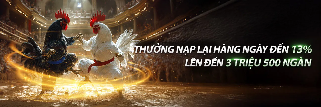Nền tảng cá cược 55.com